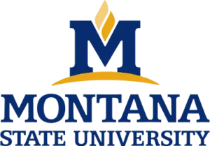 logo-MSU-core-logo